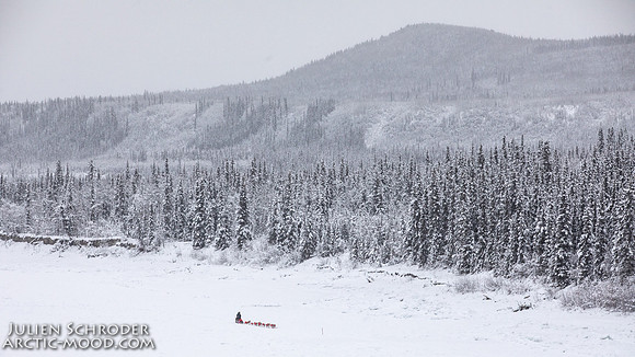 PellyCrossing-YukonQuest2019-JSchroder_20190204_D4_3259