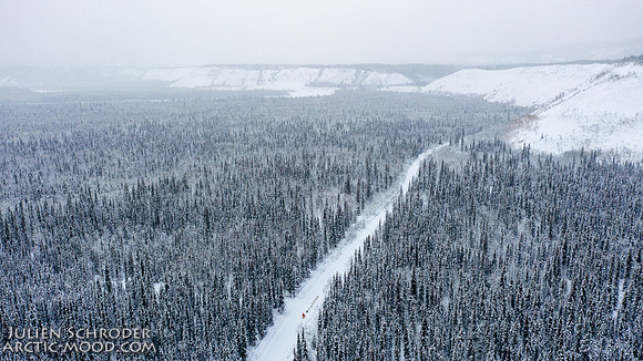 PellyCrossing-YukonQuest2019-JSchroder_20190204DJI_0343