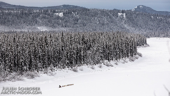 PellyCrossing-YukonQuest2019-JSchroder_20190204_D4_3121