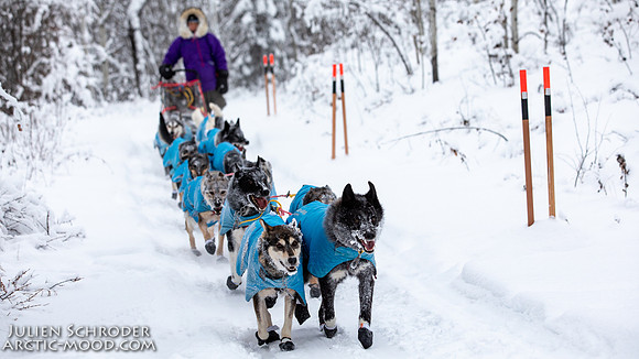 PellyCrossing-YukonQuest2019-JSchroder_20190204_D4_3051