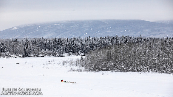 PellyCrossing-YukonQuest2019-JSchroder_20190204_D4_3247