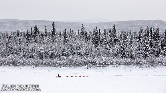 PellyCrossing-YukonQuest2019-JSchroder_20190204_D4_3265