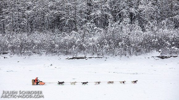 PellyCrossing-YukonQuest2019-JSchroder_20190204_D4_3305