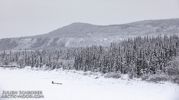 PellyCrossing-YukonQuest2019-JSchroder_20190204_D4_3261