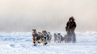 Carmacks-YukonQuest2019-JSchroder_20190203_D4_2485