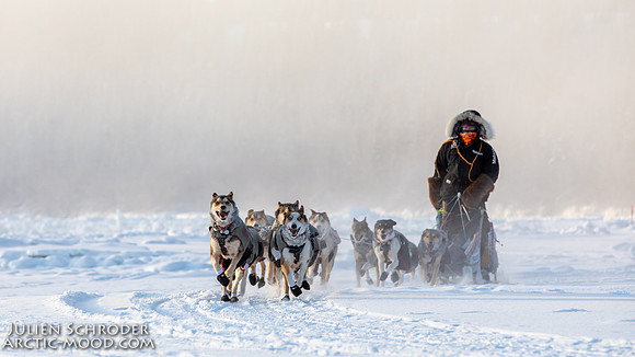 Carmacks-YukonQuest2019-JSchroder_20190203_D4_2485