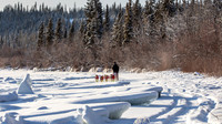 Carmacks-YukonQuest2019-JSchroder_20190203_D4_2577