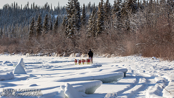Carmacks-YukonQuest2019-JSchroder_20190203_D4_2577