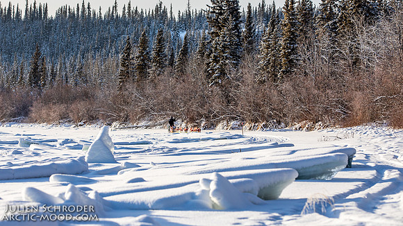 Carmacks-YukonQuest2019-JSchroder_20190203_D4_2568