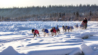 Carmacks-YukonQuest2019-JSchroder_20190203_D4_2550