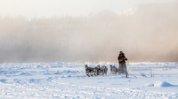 Carmacks-YukonQuest2019-JSchroder_20190203_D4_2476