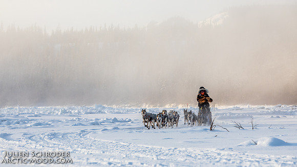 Carmacks-YukonQuest2019-JSchroder_20190203_D4_2476