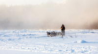 Carmacks-YukonQuest2019-JSchroder_20190203_D4_2471