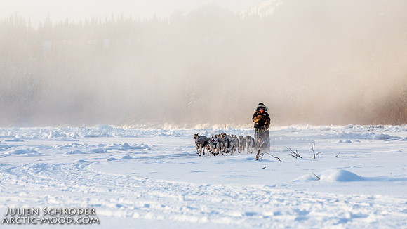 Carmacks-YukonQuest2019-JSchroder_20190203_D4_2471
