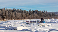 Carmacks-YukonQuest2019-JSchroder_20190203_D4_2558