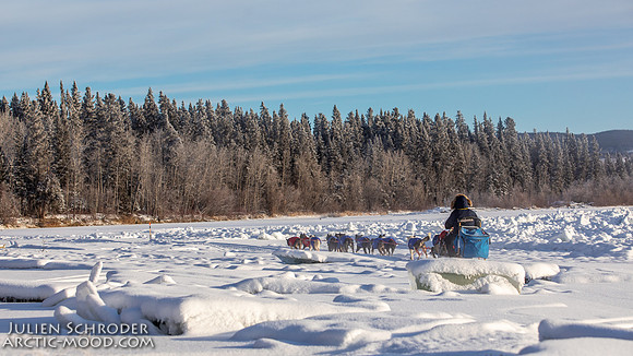 Carmacks-YukonQuest2019-JSchroder_20190203_D4_2558