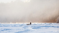 Carmacks-YukonQuest2019-JSchroder_20190203_D4_2455-2