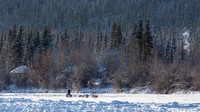 Carmacks-YukonQuest2019-JSchroder_20190203_D4_2513