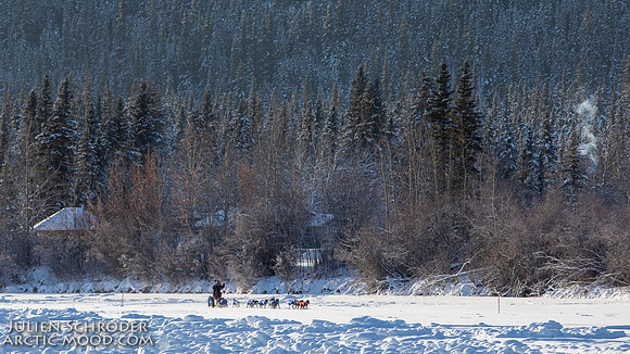 Carmacks-YukonQuest2019-JSchroder_20190203_D4_2513