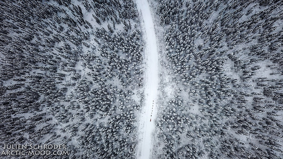 aerial