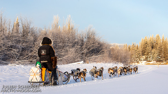 Carmacks-YukonQuest2019-JSchroder_20190203_D4_2505