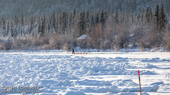 Carmacks-YukonQuest2019-JSchroder_20190203_D4_2562