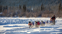 Carmacks-YukonQuest2019-JSchroder_20190203_D4_2544