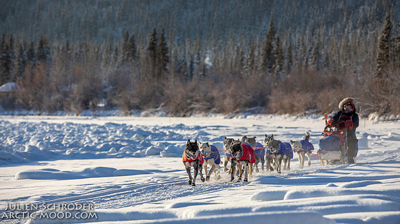 Carmacks-YukonQuest2019-JSchroder_20190203_D4_2544