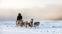 Carmacks-YukonQuest2019-JSchroder_20190203_D4_2491