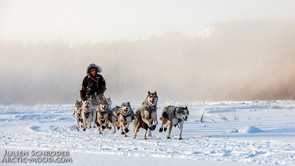 Carmacks-YukonQuest2019-JSchroder_20190203_D4_2491