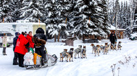 McCabe-YukonQuest2019-JSchroder_20190203_D4_2668