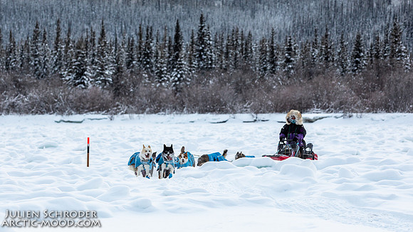 McCabe-YukonQuest2019-JSchroder_20190203_D4_2745