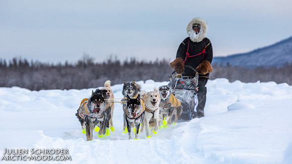 McCabe-YukonQuest2019-JSchroder_20190203_D4_2832
