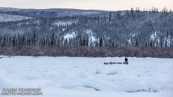 McCabe-YukonQuest2019-JSchroder_20190203_D4_2785