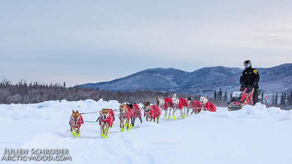 McCabe-YukonQuest2019-JSchroder_20190203_D4_2797