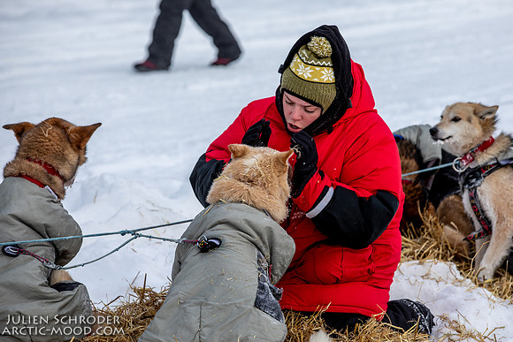 McCabe-YukonQuest2019-JSchroder_20190203_D4_2706