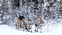 McCabe-YukonQuest2019-JSchroder_20190203_D4_2663
