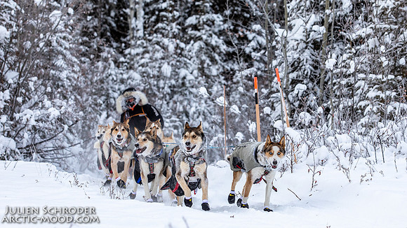 McCabe-YukonQuest2019-JSchroder_20190203_D4_2663
