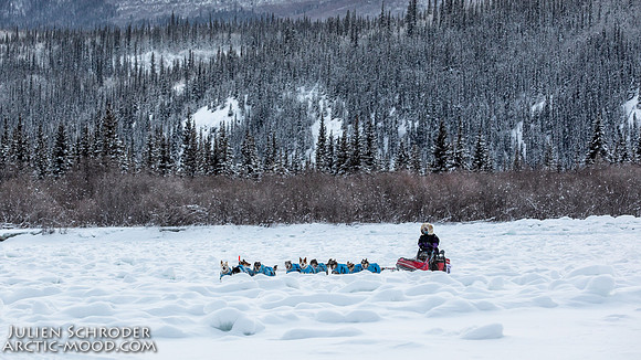 McCabe-YukonQuest2019-JSchroder_20190203_D4_2741