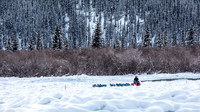 McCabe-YukonQuest2019-JSchroder_20190203_D4_2736