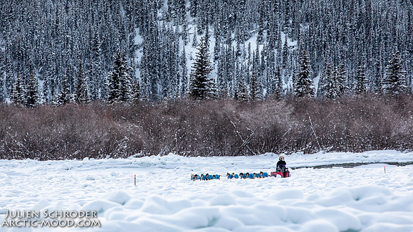 McCabe-YukonQuest2019-JSchroder_20190203_D4_2736