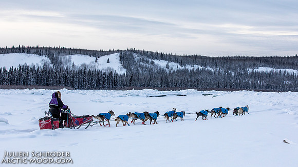 McCabe-YukonQuest2019-JSchroder_20190203_D4_2752