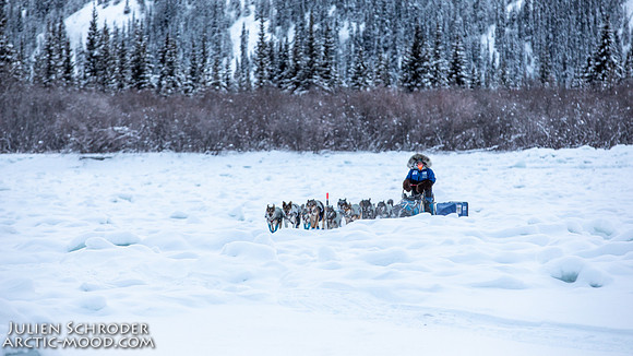 McCabe-YukonQuest2019-JSchroder_20190203_D4_2761