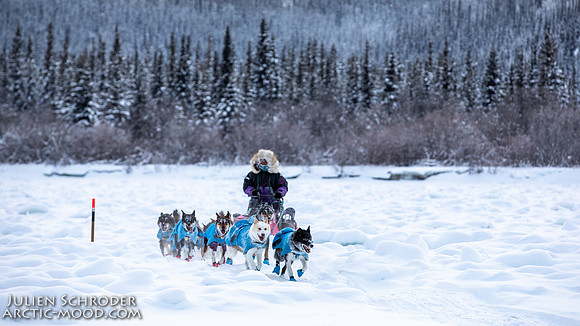 McCabe-YukonQuest2019-JSchroder_20190203_D4_2747