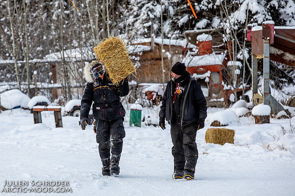 McCabe-YukonQuest2019-JSchroder_20190203_D4_2691