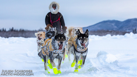 McCabe-YukonQuest2019-JSchroder_20190203_D4_2838