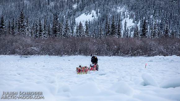 McCabe-YukonQuest2019-JSchroder_20190203_D4_2792