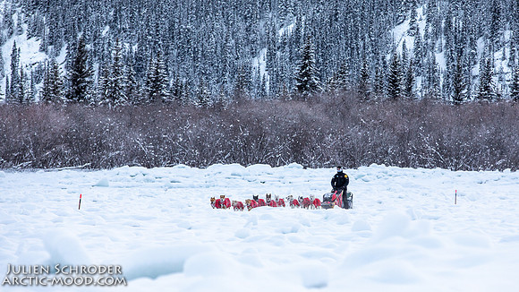 McCabe-YukonQuest2019-JSchroder_20190203_D4_2781