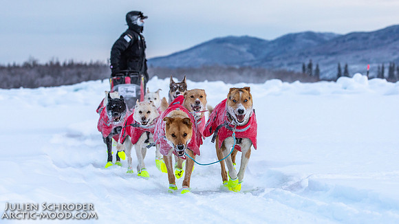 McCabe-YukonQuest2019-JSchroder_20190203_D4_2806