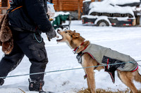 McCabe-YukonQuest2019-JSchroder_20190203_D4_2709